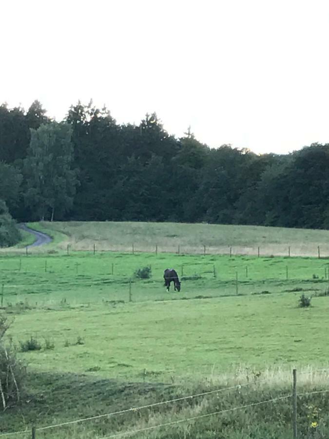 Ferienwohnung Goebel Kelberg Bagian luar foto